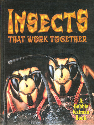 cover image of Insects that work together